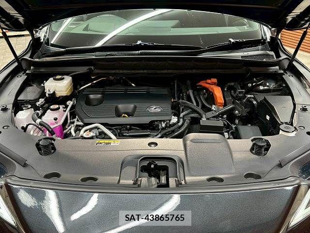 Lexus RX 2023-08 7962472-19