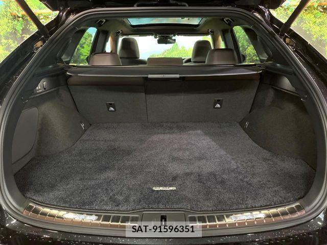 Lexus RX 2023-08 8074408-10