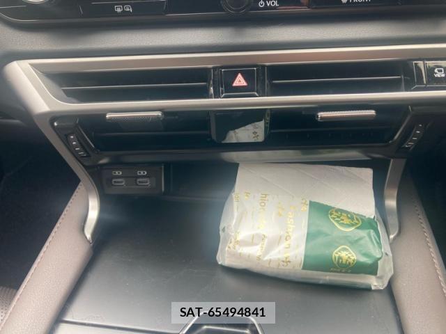 Lexus RX 2024-02 8074406-21