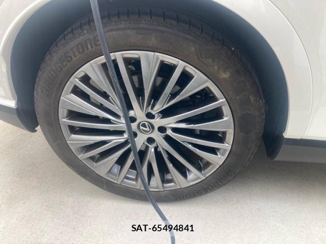 Lexus RX 2024-02 8074406-4