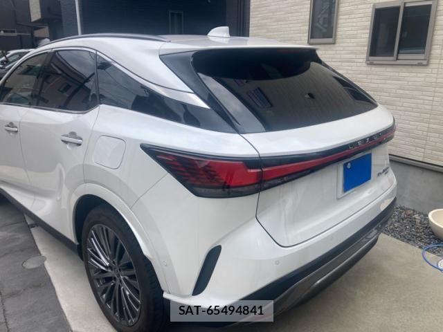 Lexus RX 2024-02 8074406-7