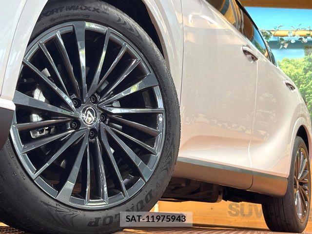 Lexus RX 2023-06 8100204-12