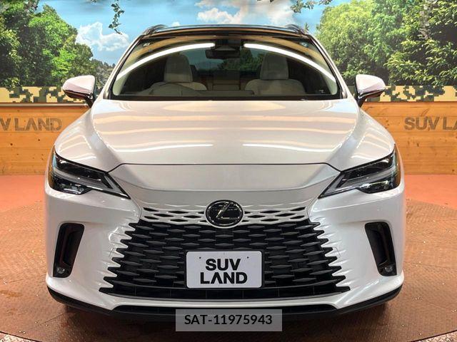 Lexus RX 2023-06 8100204-13