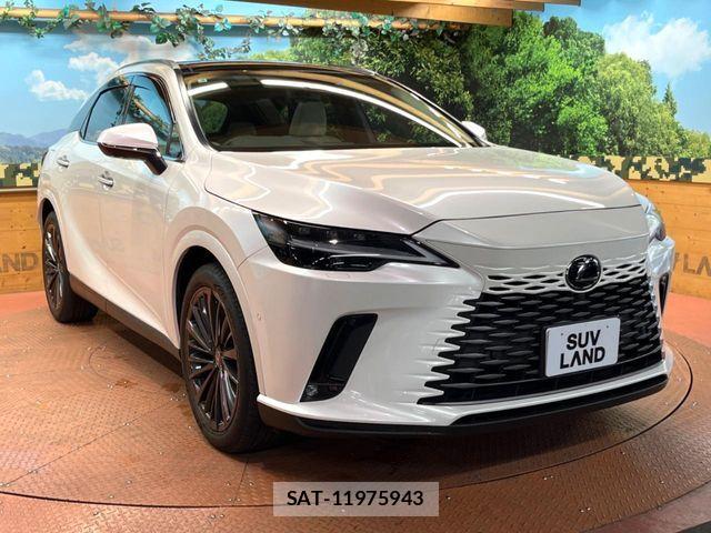 Lexus RX 2023-06 8100204-15