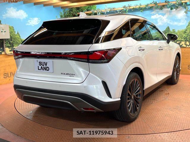 Lexus RX 2023-06 8100204-16
