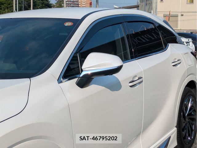 Lexus RX 2023-07 8131064-10