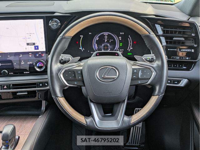 Lexus RX 2023-07 8131064-21