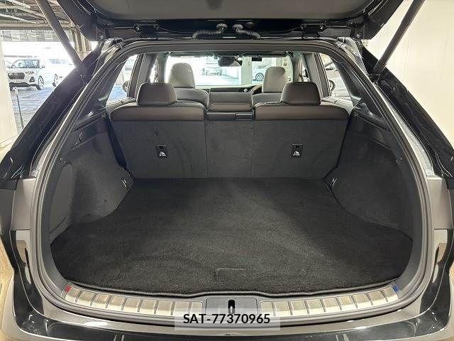 Lexus RX 2023-08 8336615-12