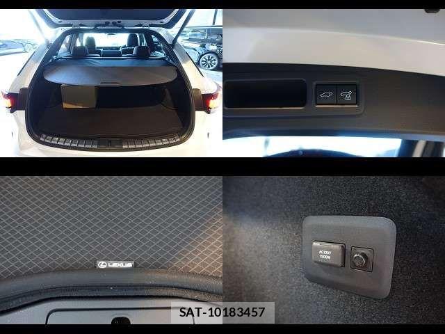 Lexus RX 2023-11 8336612-11