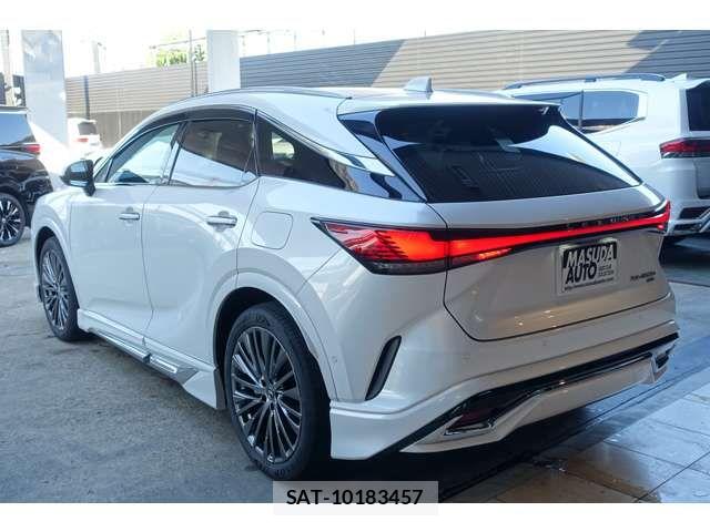 Lexus RX 2023-11 8336612-6