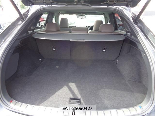 Lexus RX 2023-05 8366794-17