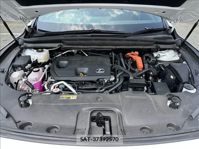 Lexus RX 2023-09 8562488-17