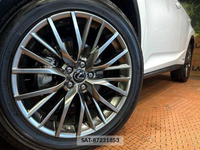 Lexus RX 2018-06 495926-10