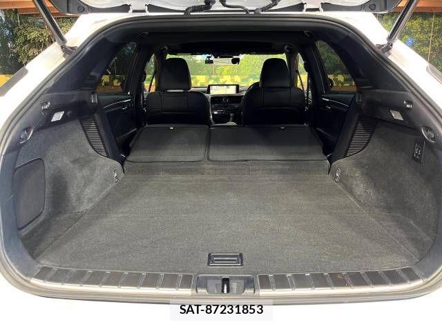 Lexus RX 2018-06 495926-13