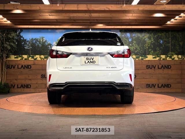 Lexus RX 2018-06 495926-15