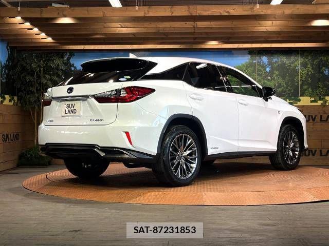 Lexus RX 2018-06 495926-17