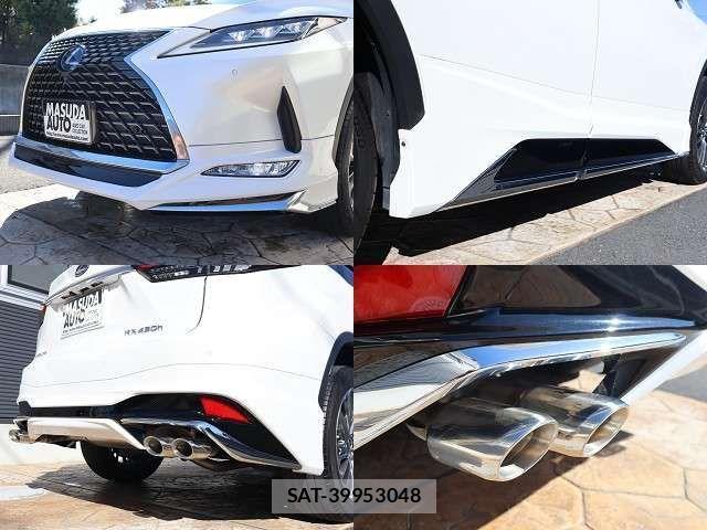 Lexus RX 2021-06 503743-25