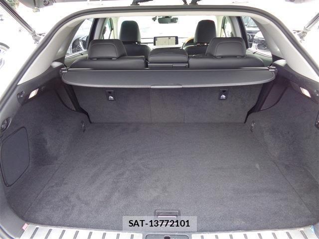 Lexus RX 2020-04 802996-12