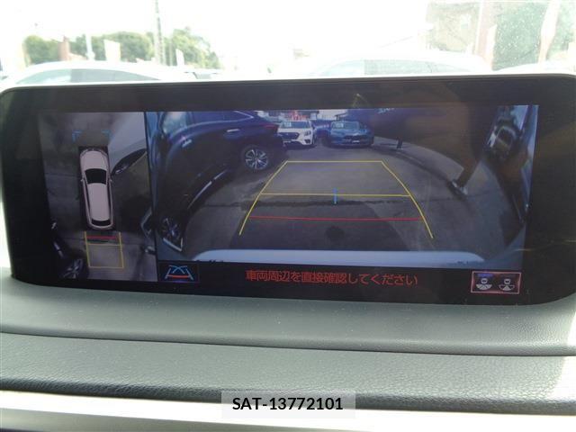 Lexus RX 2020-04 802996-18