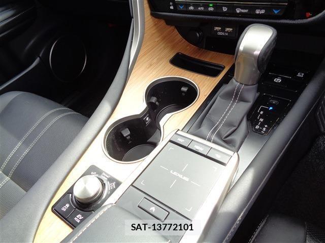 Lexus RX 2020-04 802996-22