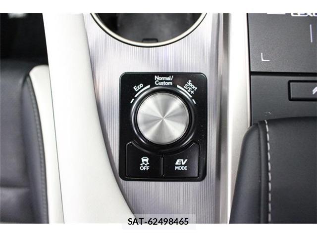 Lexus RX 2020-08 1092496-25