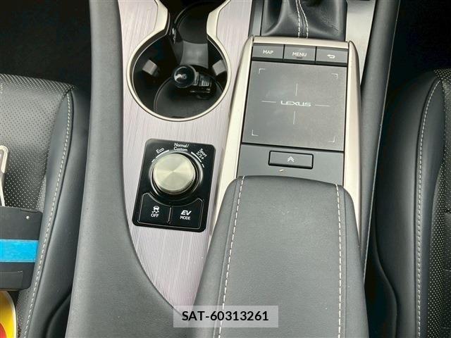 Lexus RX 2022-07 1222497-28