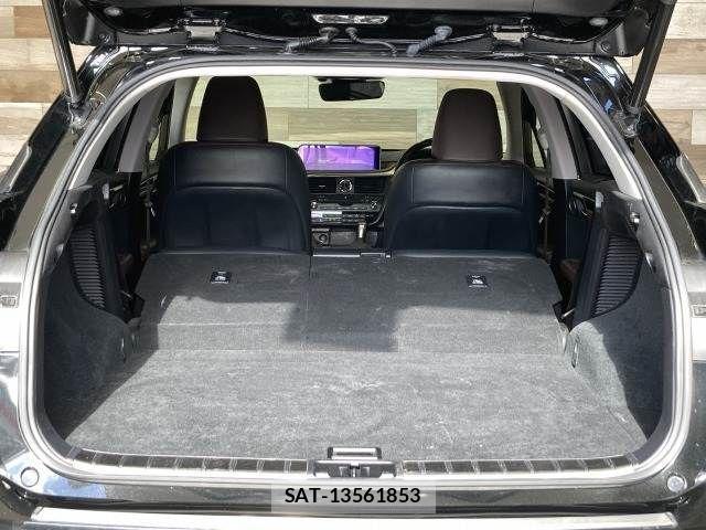 Lexus RX 2018-01 3066469-13