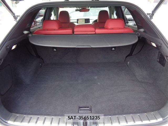 Lexus RX 2020-02 3907256-15