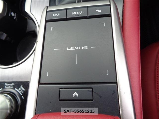 Lexus RX 2020-02 3907256-29
