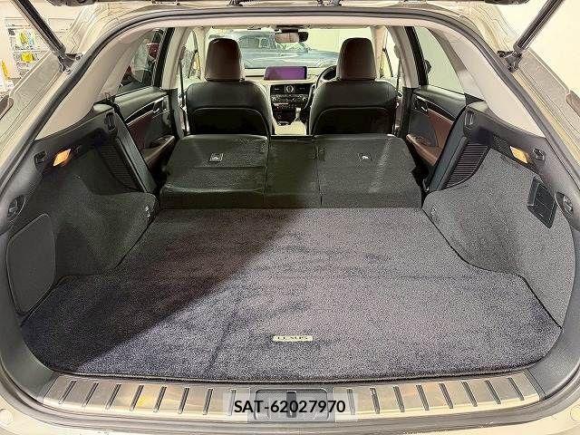 Lexus RX 2018-11 3907261-12