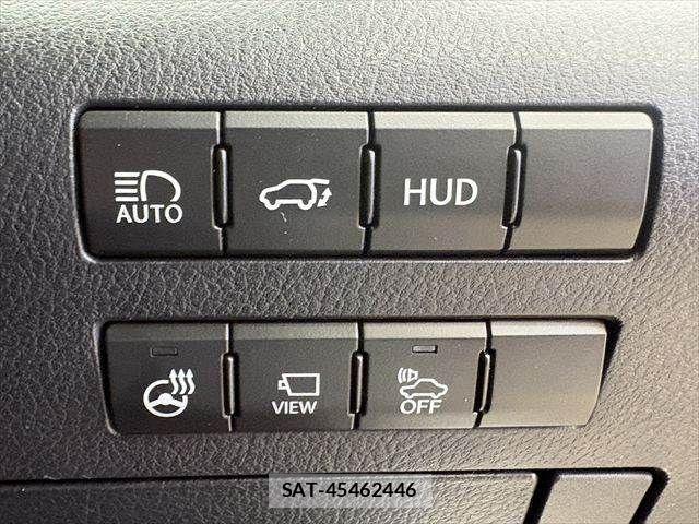 Lexus RX 2015-10 4044796-6