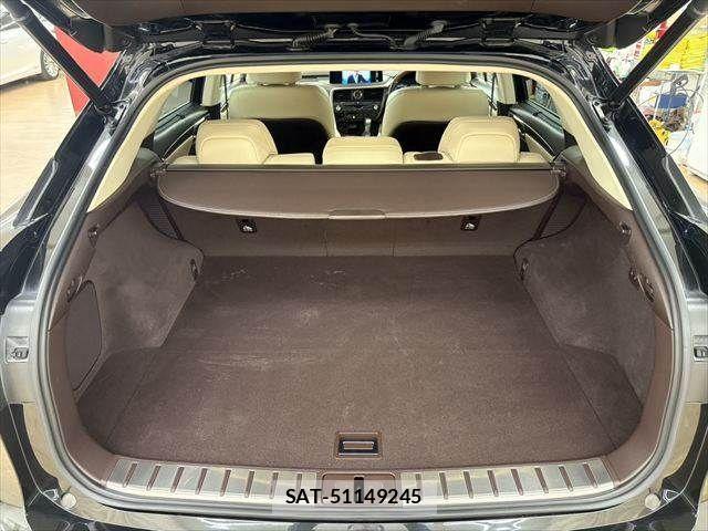 Lexus RX 2019-11 4393213-11