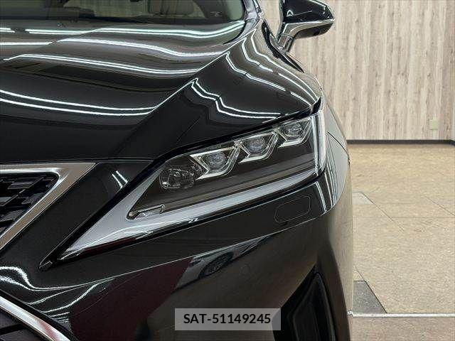 Lexus RX 2019-11 4393213-23