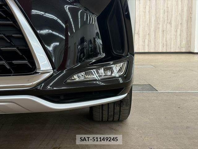 Lexus RX 2019-11 4393213-24