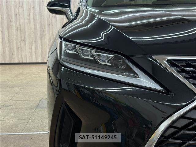 Lexus RX 2019-11 4393213-25