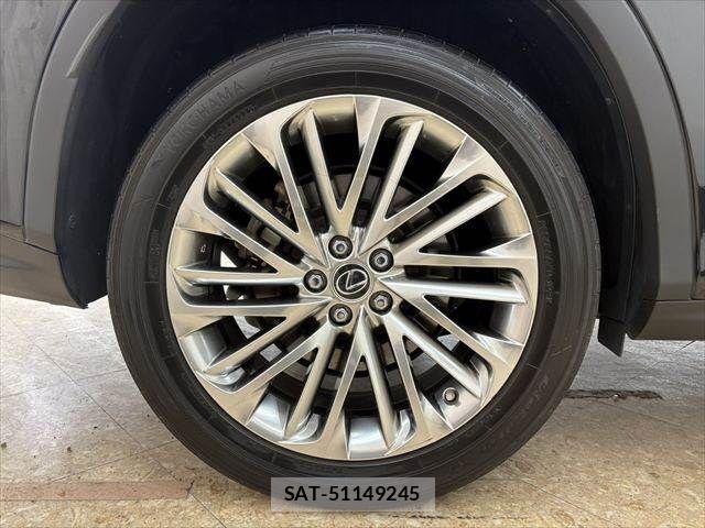 Lexus RX 2019-11 4393213-29
