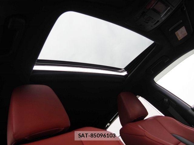Lexus RX 2022-08 4755119-10
