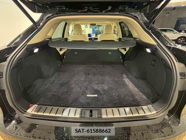 Lexus RX 2020-01 6216515-10