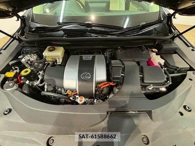 Lexus RX 2020-01 6216515-19