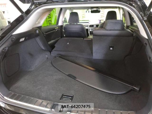 Lexus RX 2017-06 6245297-26
