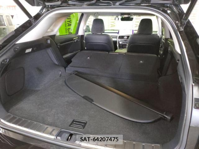 Lexus RX 2017-06 6245297-27