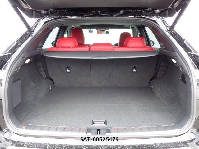 Lexus RX 2020-03 6612942-26