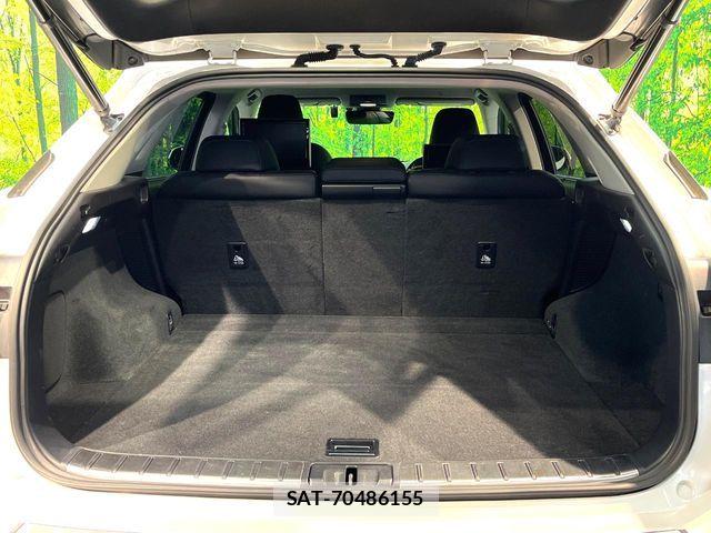 Lexus RX 2016-07 6612946-9
