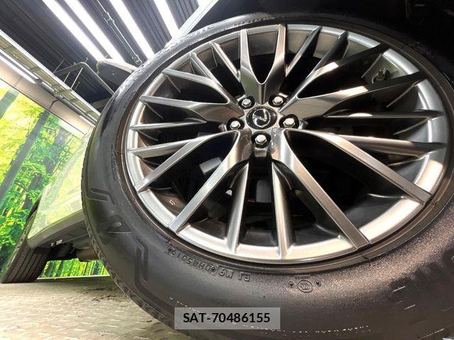 Lexus RX 2016-07 6612946-12