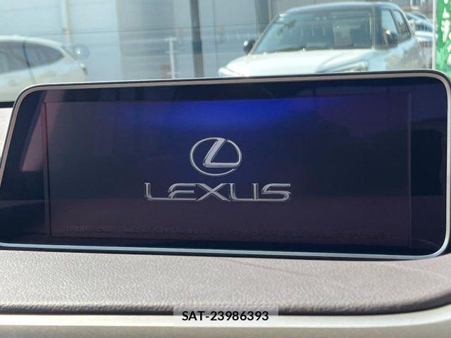 Lexus RX 2018-07 7020794-3