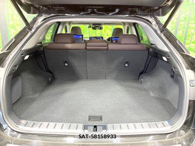 Lexus RX 2021-05 7059318-12