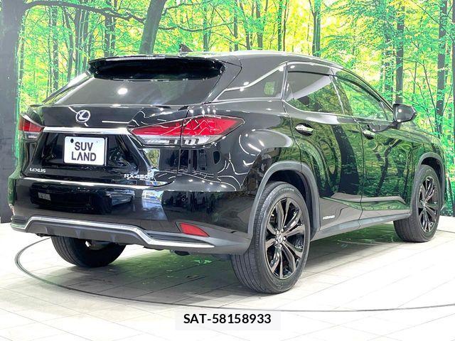 Lexus RX 2021-05 7059318-19