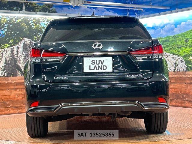 Lexus RX 2021-05 7059325-14