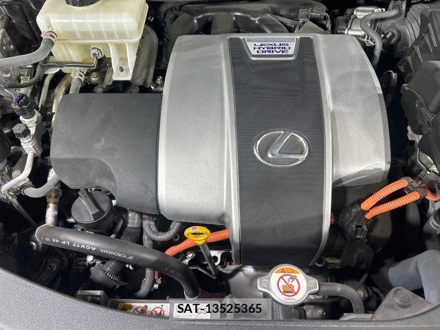 Lexus RX 2021-05 7059325-17
