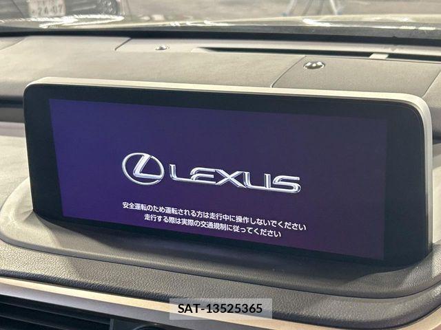 Lexus RX 2021-05 7059325-3